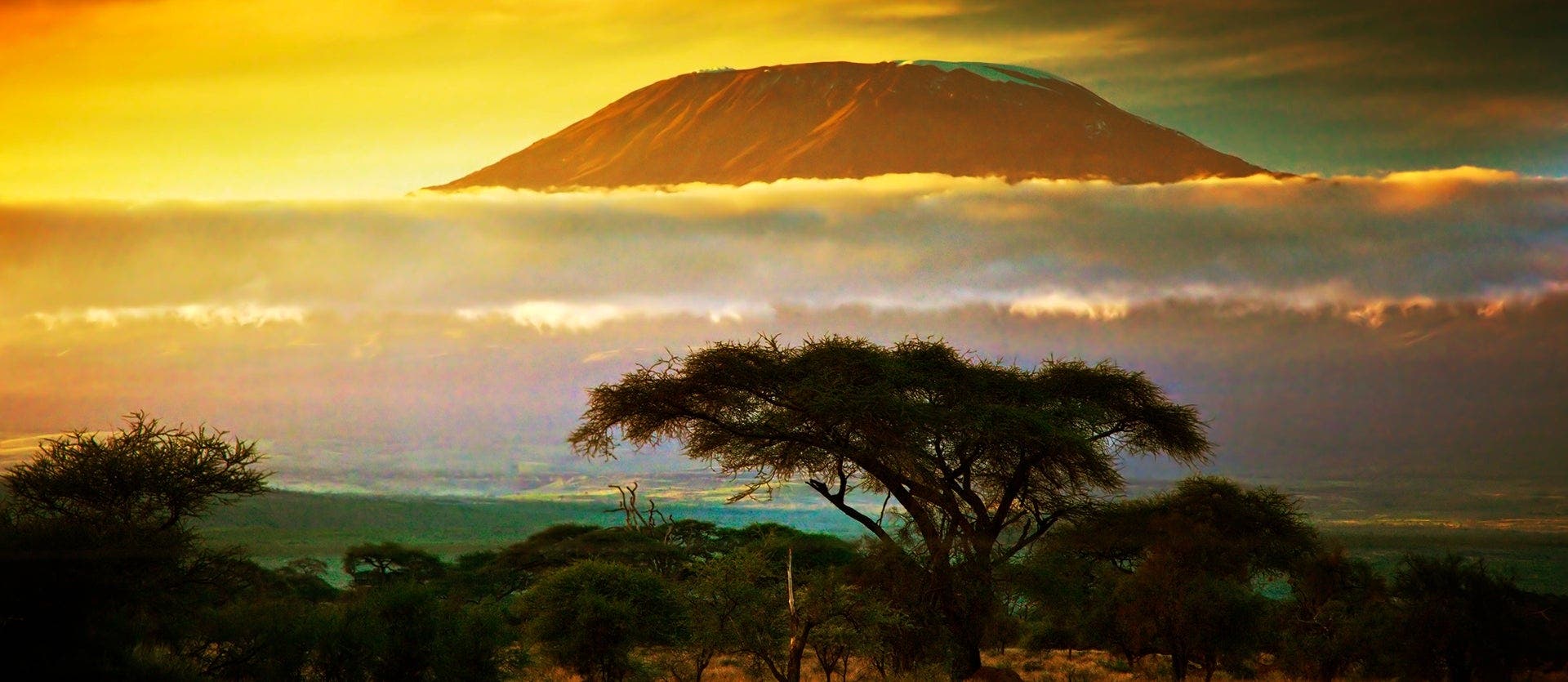 Essence of Africa 