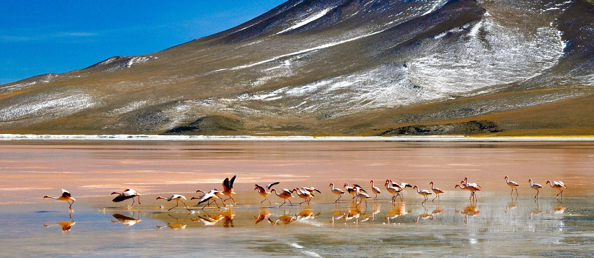 Chile 360: Santiago, Patagonia y Atacama