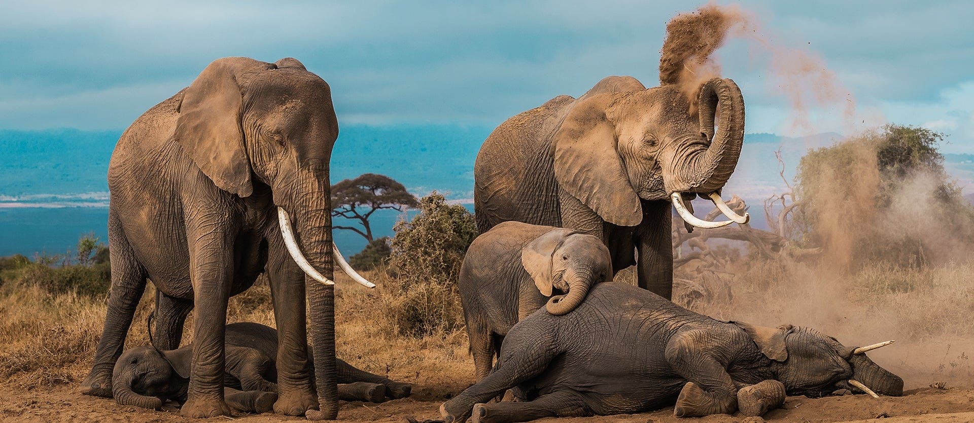From Maasai Mara to Bwindi: a wild escape