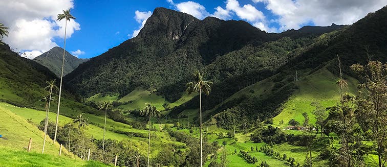 Qué ver en Colombia Armenia