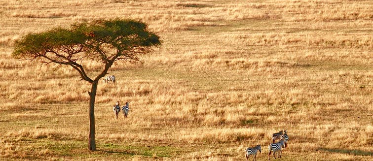 Qué ver en Tanzania Arusha