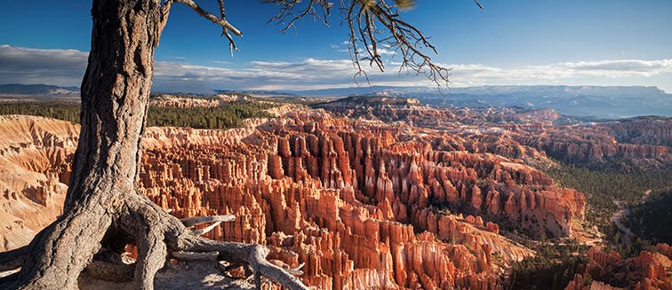 Qué ver en United States Bryce Canyon National Park 