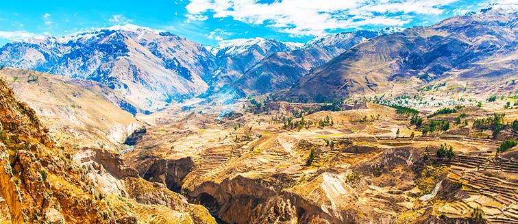 Qué ver en Perú Cañón de Colca