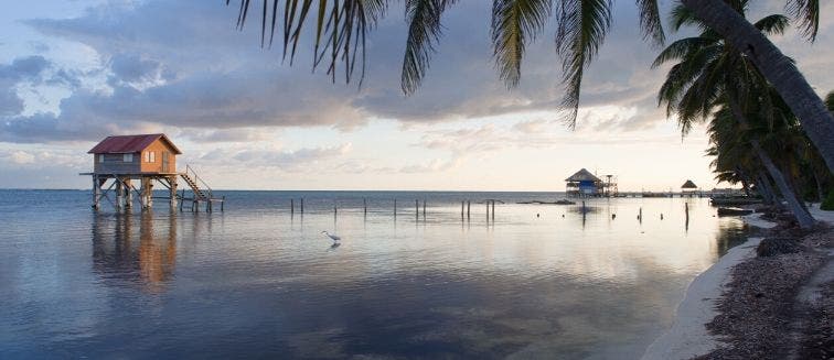 Qué ver en Belice Cayo Ambergris