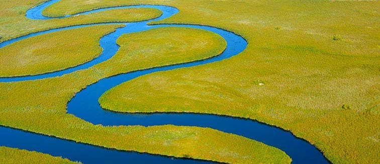 Qué ver en Botsuana Delta del Okavango