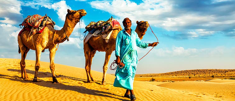 Qué ver en India Desiertos del Rajastán