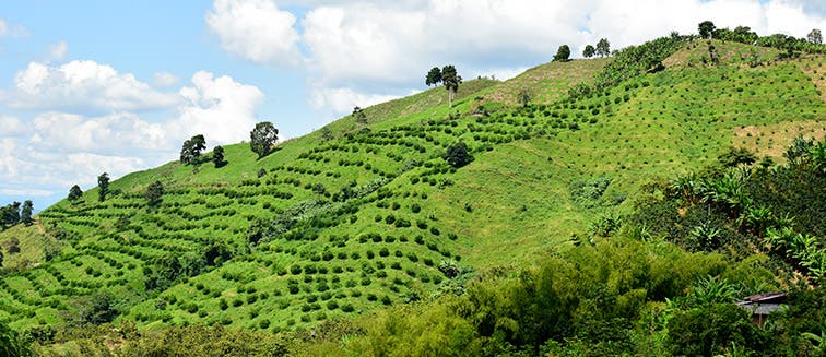 Qué ver en Colombia Eje Cafetero