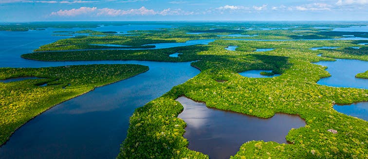 Qué ver en United States Everglades National Park