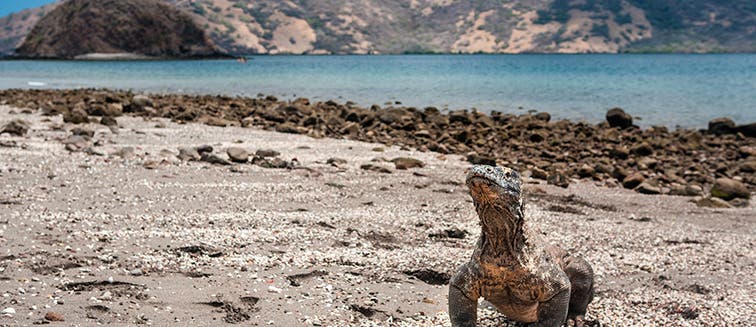 Qué ver en Indonesia Islas Sunda