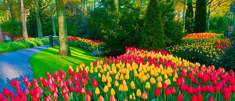 Qué ver en Holanda Keukenhof