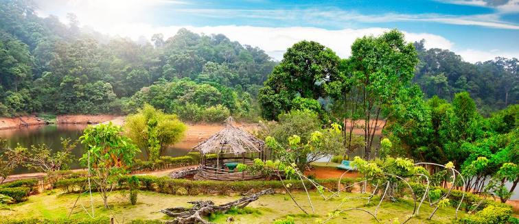 Qué ver en India Parque Nacional Periyar