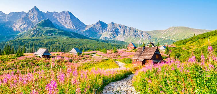 Qué ver en Polonia Parque Nacional Tatra 