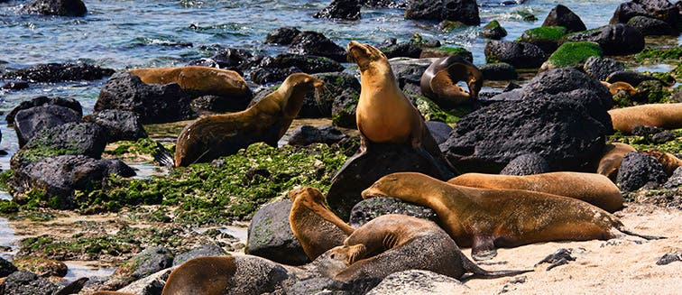 Qué ver en Ecuador Playa La Loberia