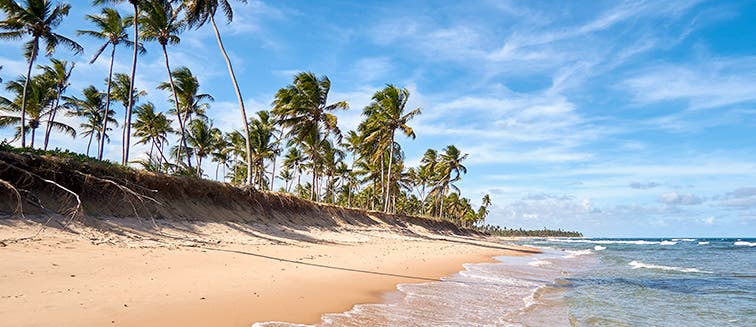 Qué ver en Brazil Praia do Forte