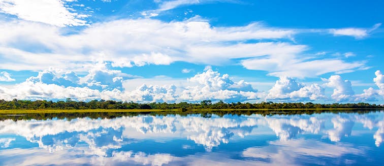 Qué ver en Perú Puerto Maldonado