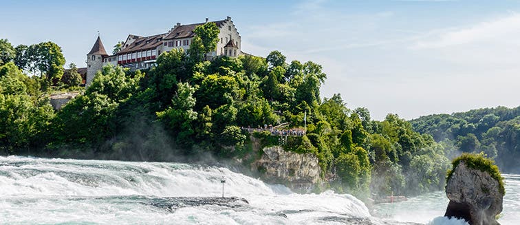 Qué ver en Suiza Rhine Falls