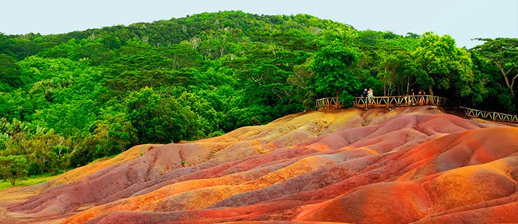 Qué ver en Mauricio Ronería de Chamarel