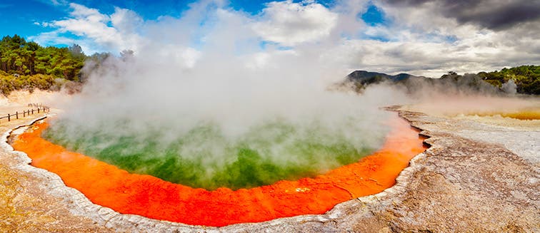 Qué ver en Nueva Zelanda Rotorua