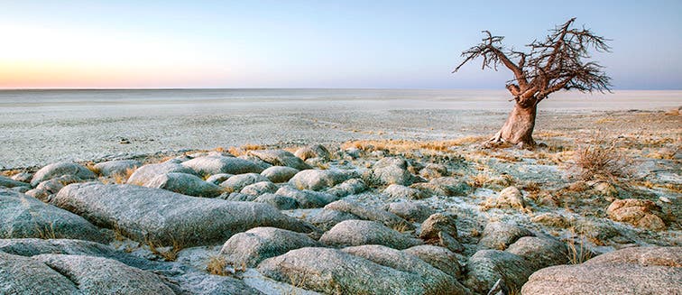 Qué ver en Botsuana Salares de Makgadikgadi