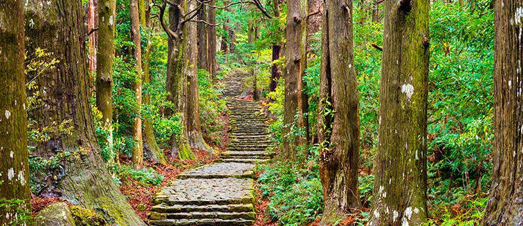 Qué ver en Japón Sendero de Kumano