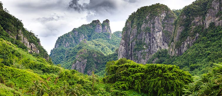 Qué ver en Fiji Viti Levu 